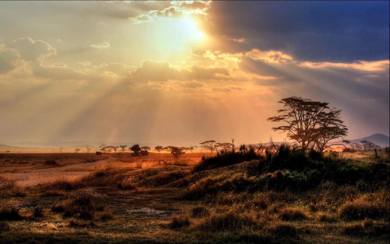 Africa Safari Maasai Boma Villa Serengeti Eksteriør bilde